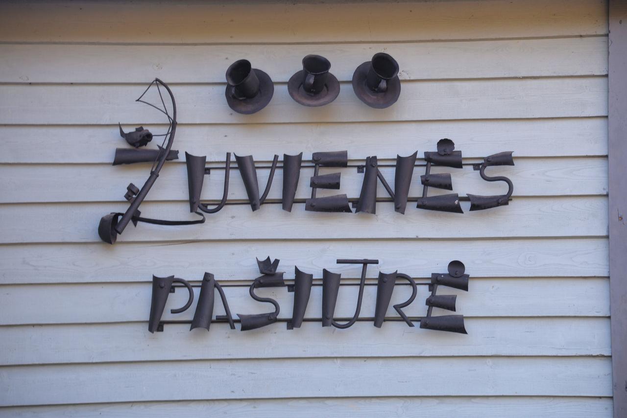 Bed and Breakfast Zuvienes Pasiure Rubikiai Exterior foto